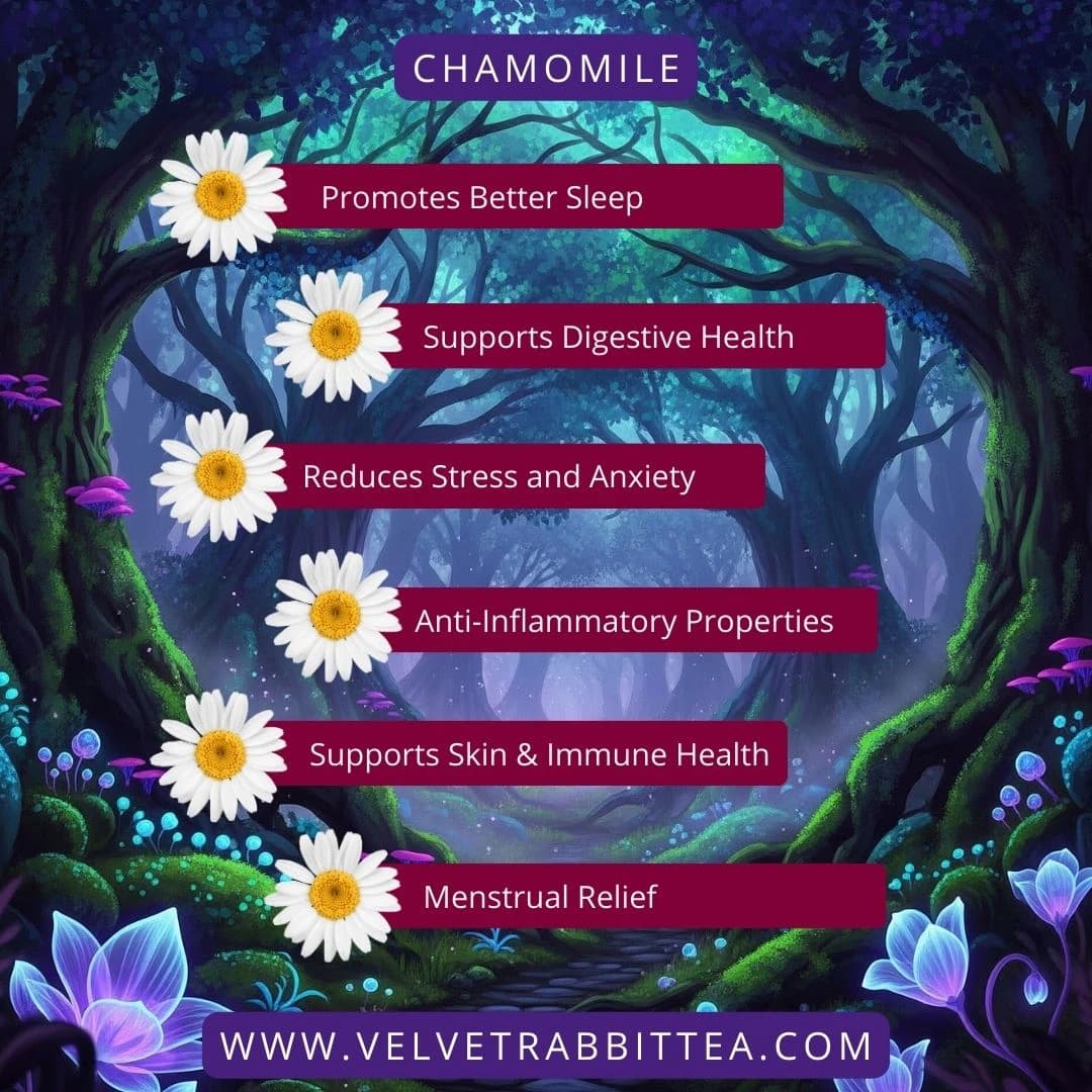 Chamomile Tea Benefits